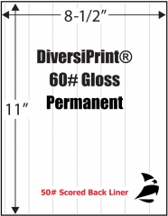 DiversiPrint 60# Gloss, Scored, Perm., 8-1/2" x 11", 1,000 Sheets - SALE Reg. $457.00