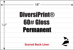 DiversiPrint Gloss  60# Adhesive Paper,  Permanent, Scored, 12" x 18", 200 Sheets