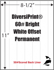 DiversiPrint 60# Bright White, Perm, Scored, 8-1/2" x 11" 1,000 Sheets