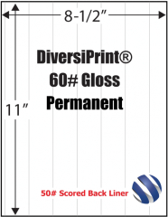 DiversiPrint� 60# Gloss, Scored, Perm., 8-1/2" x 11", 1,000 Sheets - SALE Reg. $519.00