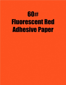 Neon Bright Fluorescent Colored Paper | 500 Sheets (8.5 x 11, Orange)